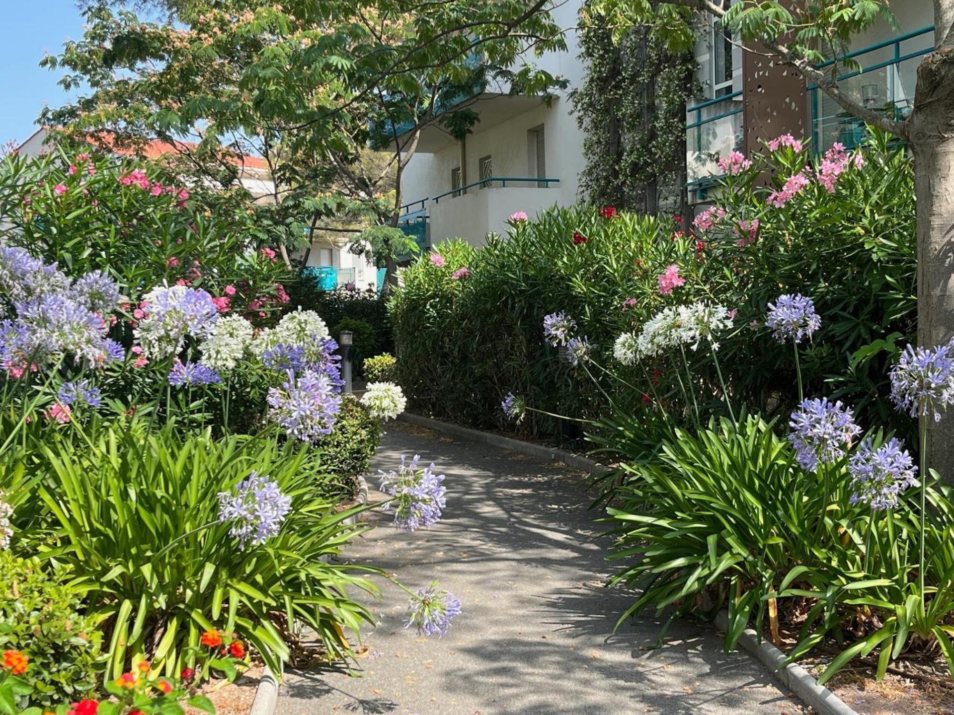 Saint-Raphael, Boulouris, F2 Dans Belle Residence 3 Piscines, Proche Bord De Mer 外观 照片
